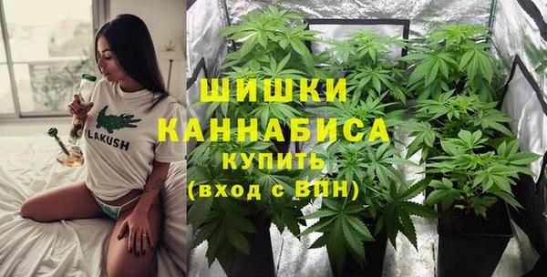 трава Вязьма