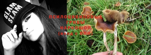 PSILOCYBIN Володарск