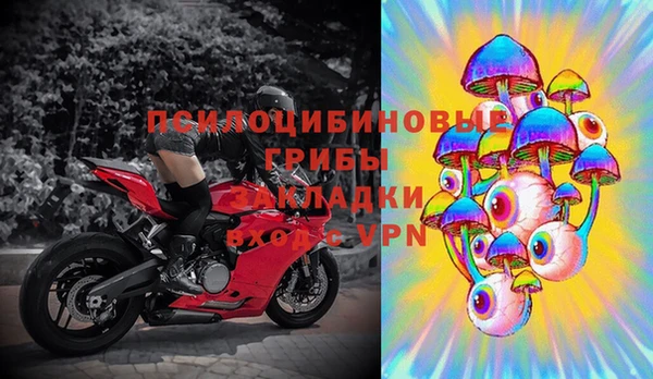 трава Вязьма