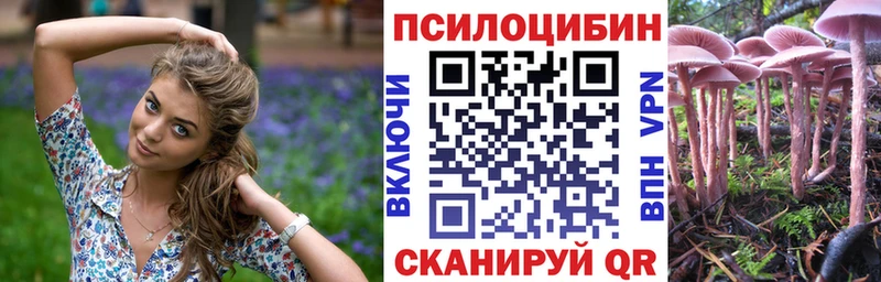 цены   ссылка на мегу как войти  Псилоцибиновые грибы MAGIC MUSHROOMS  Карабулак 